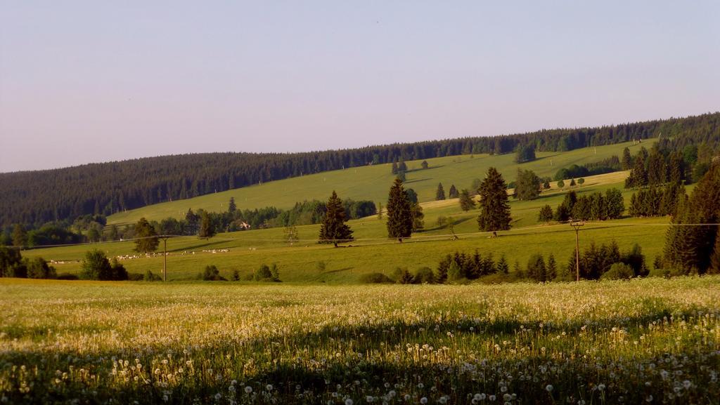 U Votapku Appartement Nove Hute Buitenkant foto